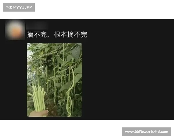 “山河四省夏天的噩梦:顿顿豆橛子,山东卫视台标背后的深意” “山河四省夏天的噩梦:顿顿豆橛子,山东卫视台标背后的深意”